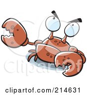 Poster, Art Print Of Grouchy Brown Crab