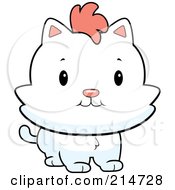 Poster, Art Print Of Chubby White Kitten Facing Slightly Right