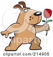 Poster, Art Print Of Romantic Dog Presenting A Rose
