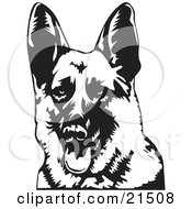 Clipart Illustration Of A Friendly German Shepherd Dog Panting With His Tongue Hanging Out Facing Front by David Rey #COLLC21508-0052