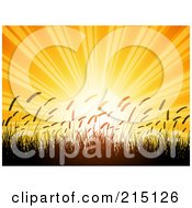 Royalty Free RF Clipart Illustration Of A Bright Orange Summer Sunset Shining Over Silhouetted Wheat by KJ Pargeter
