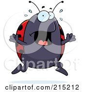 Poster, Art Print Of Scared Ladybug Panicking