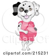 Pregnant Female Dalmatian Dog Wearing A Pink Dress
