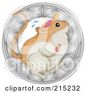 Sweaty Gerbil Wearing A Visor Hat And Running In A Wheel