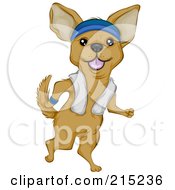 Poster, Art Print Of Cute Chihuahua Jogging Upright A Towel Over His Shoulders