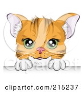 Poster, Art Print Of Green Eyed Orange Cat Looking Over A Board
