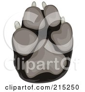 Black And Gray Dog Paw