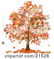 Autumn Tree With Vibrantly Colored Orange And Yellow Fall Leaves On The Branches And On The Ground Below