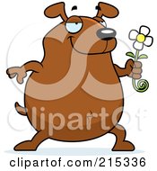 Poster, Art Print Of Chubby Brown Dog Presenting A Daisy