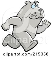 Poster, Art Print Of Bulldog Running Upright