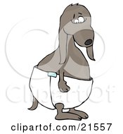 Poster, Art Print Of Sad Little Brown Puppy Dog Standing And Wearing A Diaper While Potty Training