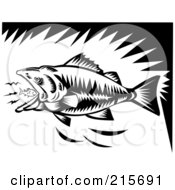 Poster, Art Print Of Black And White Largemouth Bass Eating A Tiny Fish