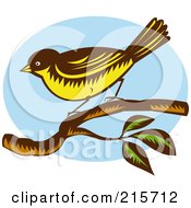 Retro New Zealand Fantail Bird Rhipidura Fuliginosa Perched On A Branch