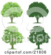 Collection Of Lush Green And Mature Trees With Their Silhouettes On A White Background