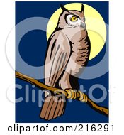 Poster, Art Print Of Perched Owl - 3