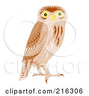 Poster, Art Print Of Alert Owl