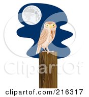 Poster, Art Print Of Perched Owl - 2