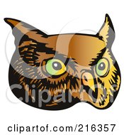 Poster, Art Print Of Owl Face - 2