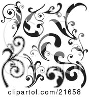 Poster, Art Print Of Clipart Picture Illustration Of A Collection Of Leaves Scrolling In Black And White