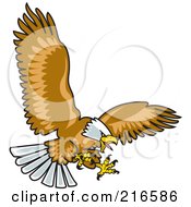 Poster, Art Print Of Hunting Bald Eagle In Flight