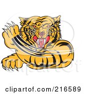 Attacking Tiger Swiping His Paw