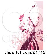 Nature Clipart Picture Illustration Of Fluttering Pink Butterflies And Flowering Plants And Vines Over A Pink And White Background by OnFocusMedia