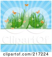 Poster, Art Print Of Blank White Bar With Grasses Flowers And Butterflies On Blue