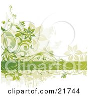 Poster, Art Print Of Green Flowering Vines Twining Around A Horizontal Green Band On A White Background