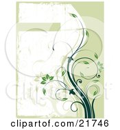 Poster, Art Print Of Growing Green Vine With Flowers And Leaves Curving Towards A Text Box On A Green And White Background