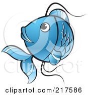 Poster, Art Print Of Blue Koi Fish Turning