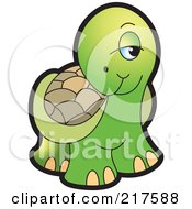 Poster, Art Print Of Cute Tortoise Looking Shy