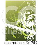 Poster, Art Print Of Blank White Text Box With White And Green Vines Over A Gradient Green Background