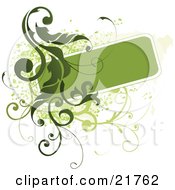 Clipart Picture Illustration Of A Green Text Box With Green Vines And Paint Splatters On A White Background