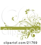 Poster, Art Print Of Flowering Green Vine And Splatters Growing Around A Blank Green Text Bar On A White Background