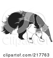 Royalty Free RF Clipart Illustration Of A Black Gray And White Giant Anteater