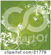 Poster, Art Print Of Curling Green And White Flowers And Vines Over A Green Background