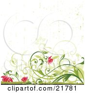Clipart Picture Illustration Of Green Curly Vines Weighed Down With Pink Flowers Over A Grunge White Background