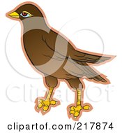Royalty Free RF Clipart Illustration Of A Maina Bird 1