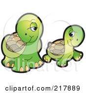 Poster, Art Print Of Flirty Cute Tortoise Couple