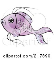 Poster, Art Print Of Purple Koi Fish Swimming