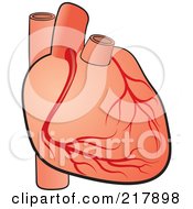 Royalty Free RF Clipart Illustration Of A Human Heart 1 by Lal Perera