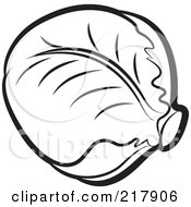 Royalty Free RF Clipart Illustration Of A Head Of Outlined Cabbage by Lal Perera