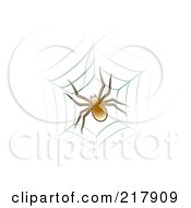 Brown Spider On Web