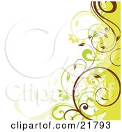 Poster, Art Print Of White Background With Green Brown And Yellow Curling Floral Vines