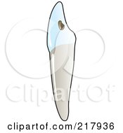 Royalty Free RF Clipart Illustration Of A Sharp Tooth
