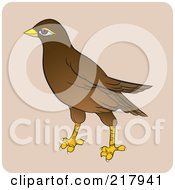 Royalty Free RF Clipart Illustration Of A Maina Bird 3