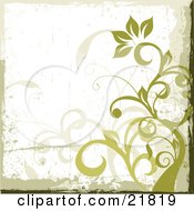 Poster, Art Print Of Green Flowering Plant With Curly Vines On A Grunge White Background