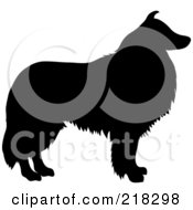 Black Silhouetted Collie Dog In Profile