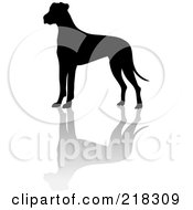 Poster, Art Print Of Black Silhouetted Great Dane And Reflection