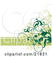 Clipart Picture Illustration Of A Worn Green Text Bar With Dark And Light Green Leafy Vines Over A White Background